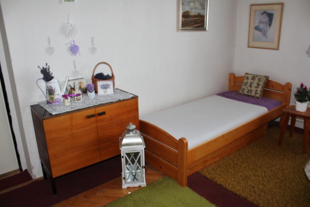 Apartment Telc Hradecka Kültér fotó